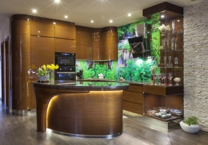 Luxusn&eacute; kuchyne d&aacute;vaj&uacute; pocit jedinečnosti a exkluzivity